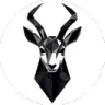 Gazelle Motorsport